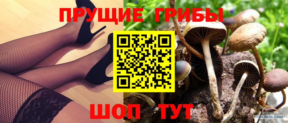 Борзя  Галлюциногенные грибы ЛСД  что такое   Вход с VPN 